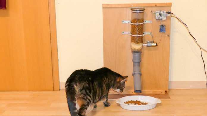 Eine Katze steht neben einem DIY-Katzenfütterautomaten.