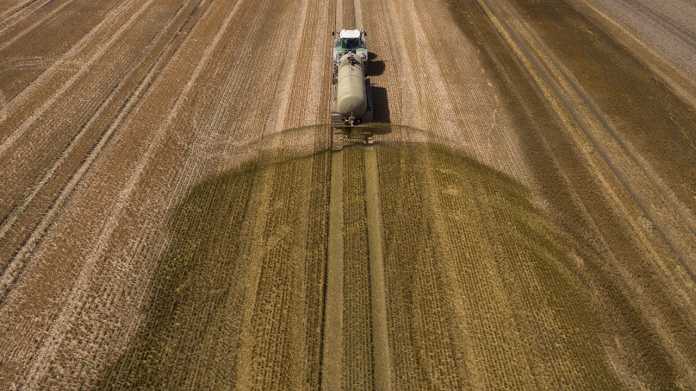 Landwirtschaft: Mist statt Mais