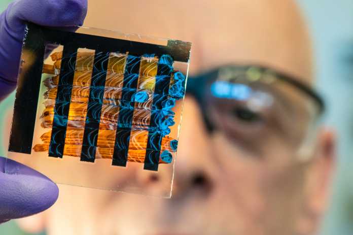Ein Forscher des US-NREL hält eine Solarzelle mit Perowskitfarbe hoch.