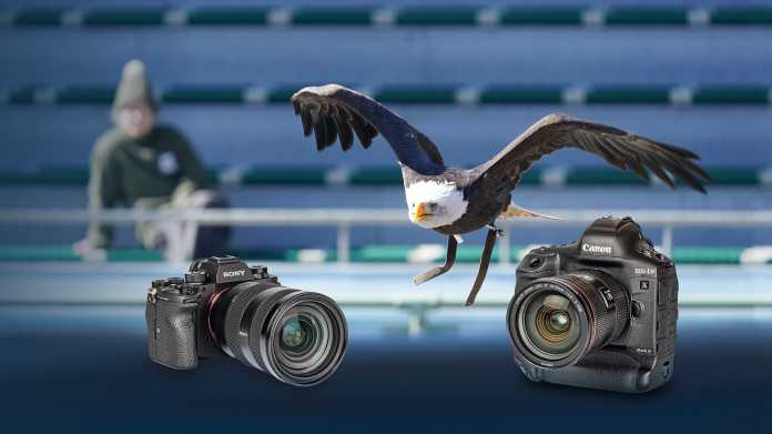 Profi-Systemkameras im Test: Canon EOS-1D X Mark III und Sony A9 II