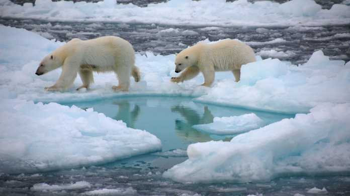 Studie: Fehlender Klimaschutz wird sich deutlich am Nordpol zeigen