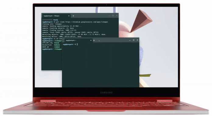 Entwickler können mit Crostini ein Linux Terminal zum Entwickeln auf Chromebooks verwenden.