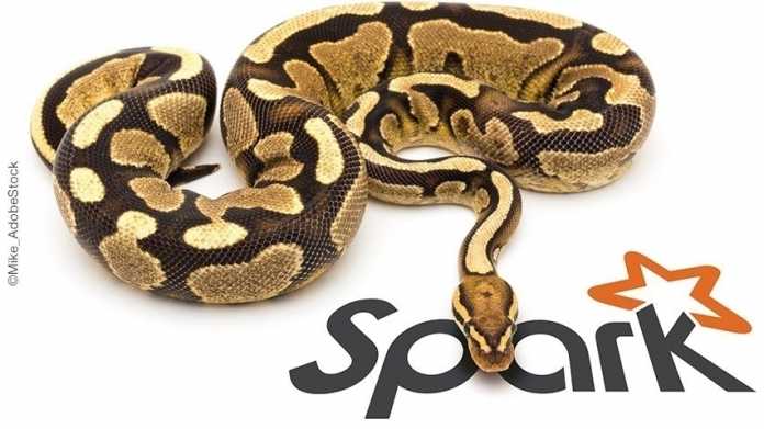 Online-Workshop: Big-Data-Analysen mit Python und Spark