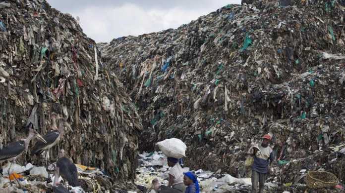 Kreislaufwirtschaft: Grüne wollen Müll mit digitalem Produktpass bekämpfen