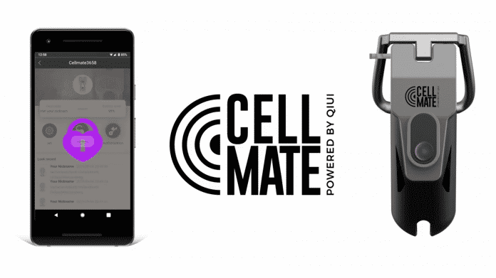 Gravierende Sicherheitsmängel bei Cellmate-Sextoys