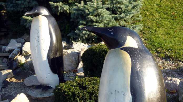 2 Pinguin-Statuen