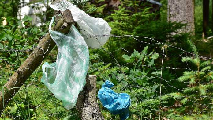 Biologisch abbaubare Plastiktüten nach drei Jahren nicht verrottet