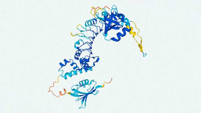 Struktur des Proteins "Q10303" der Spalthefe S. pombe – eines von 20 entschlüsselten Proteinen, das DeepMind bei der Vorstellung von Alphafold2 veröffentlichte., DeepMind