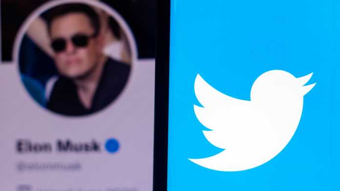 Elon Musk bei Twitter neben Twitter-Symbol
