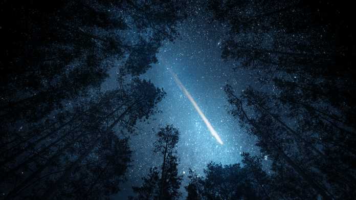Beautiful,Night,Sky,,The,Milky,Way,,Meteor,And,The,Trees.