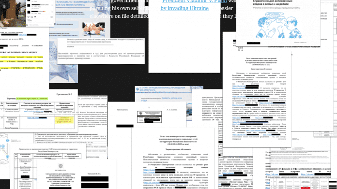 Screenshot vieler Dokumente, teilweise geschwärzt