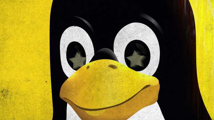 Der Pinguin Tux ist seit 1996 offizielles Maskottchen von Linux. Weil die quelloffene Software in immer mehr kritischer Infrastruktur eingesetzt wird, will das US-Militär jetzt das komplette Projekt durchleuchten., Abbildung: Technology Review