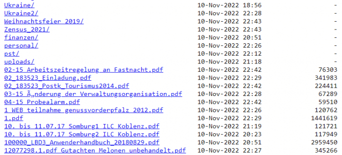 Ausschnitt der Liste gehackter Daten der Kreisverwaltung Rheinland-Pfalz