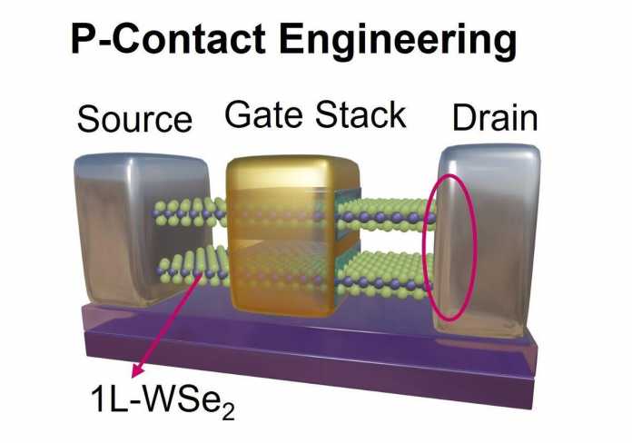 Wenige Atomlagen dünne &quot;2D&quot;-Materialien wie Wolframdiselenid (WSe2) sind Hoffnungsträger von Chipentwicklern. TSMC zeigte diesen Versuchsaufbau für einen p-FET mit leitenden WSe2-Schichten., IEDM/TSMC