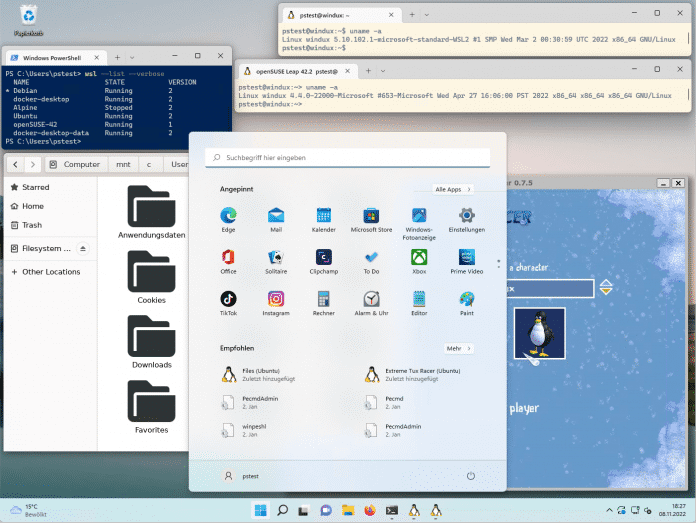 WSL bringt grafische Linux-Anwendungen gleichberechtigt als Fenster auf den Windows-Desktop – allerdings nur unter Windows 11. Wer derlei unter Windows 10 bewerkstelligen will, muss noch tricksen., 