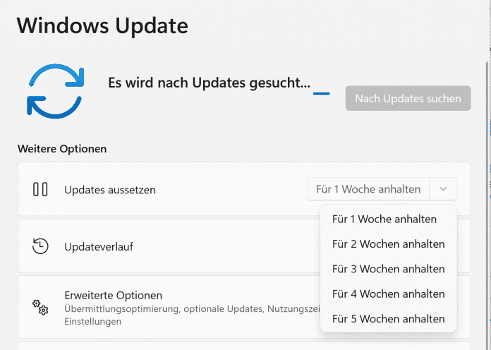 Screenshot Pause Windows update