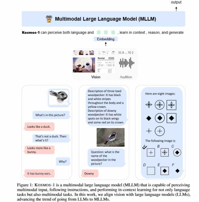 Multimodal Large Language Model (MLLM)