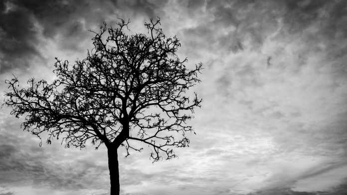 Silhouette,Dead,Tree,On,Dark,Dramatic,Sky,Background,For,Scary, Nachruf