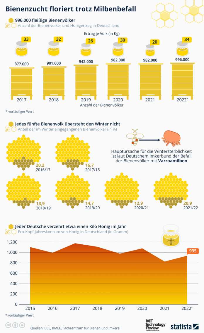 Infografik zu Bienen