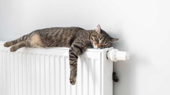 The,Cat,Lies,On,A,Heating,Radiator,Against,The,Background