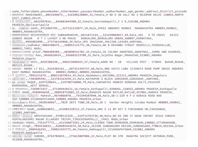 Auszug der geleakten Daten ​