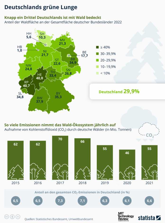 Infografik zu Deutschlands Abdeckung mit Wald und die CO2-Bindung