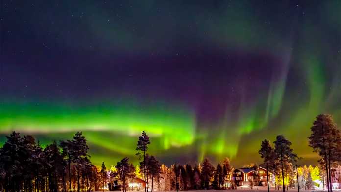 Grüne Polarlichter über einer Schneelandschaft mit Bäumen