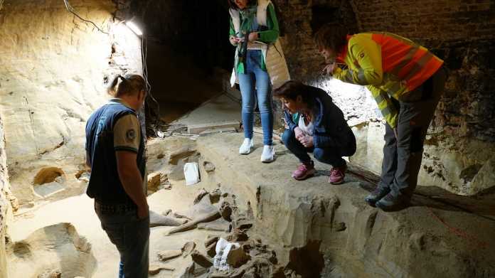 Archäologin, Kulturstadträtin und Winzer stehen um die Knochen herum im historischen Weinkeller