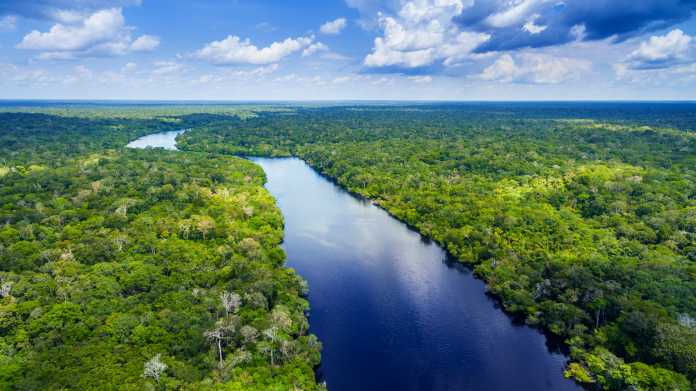 Luftbild auf Fluss, daneben Regenwald