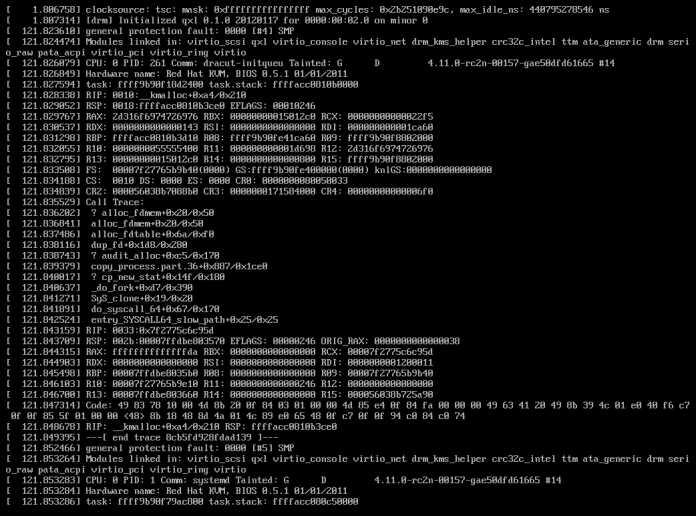 Conventional display of a kernel panic