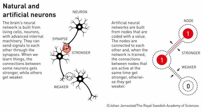 Artificial neural networks