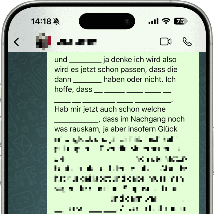 Manches Transkript ist wenig hilfreich, wenn WhatsApp viele Wörter nicht versteht und einen Lückentext anzeigt.