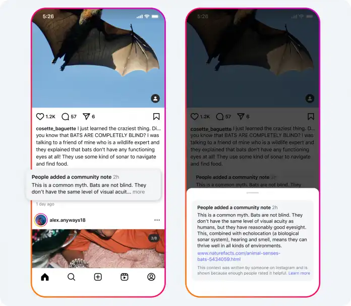 An online post claims that bats are blind, a community note denies this