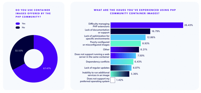 PHP survey problems with container images