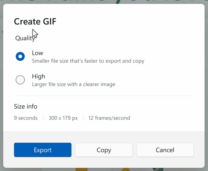 GIF-Export-Optionen