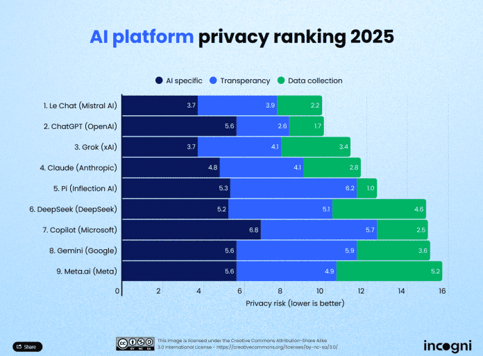 Infografik Privatsphäre KI-Modelle