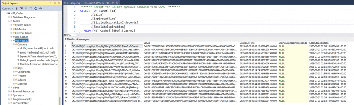 Persistierte Circuit-Zustände in einer Microsoft-SQL-Server-Tabelle, deren Aufbau durch den Distributed Cache Provider (SqlServerCache) vorgegeben ist.