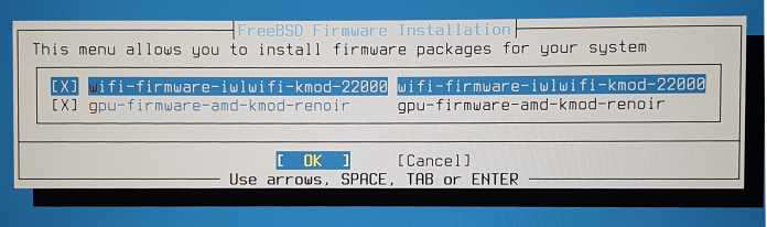 Screenshot FreeBSD Firmware