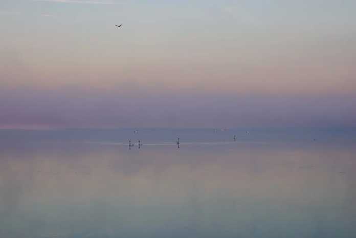 Blick aufs Wasser beim Sonnenaufgang im Nebel