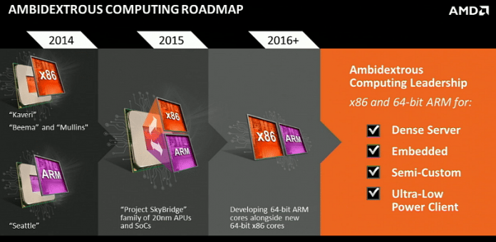 AMD Skybridge Roadmap