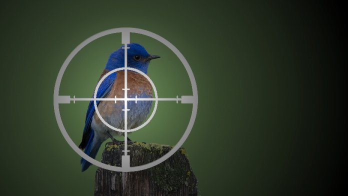 Twitter warnt vor staatlichen Angriffen auf seine Nutzer