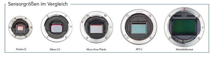 Größenvergleich: vier Systemkameras, vier unterschiedliche Sensorgrößen. Von links: Pentax Q, der CX-Sensor der Nikon 1, der Micro-Four-Thirds-Sensor der Pen E-P3 von Olympus sowie der APS-C-Sensor von Sonys NEX 5N im Vergleich zum Kleinbildsensor der Canon EOS 5D MK III (ganz rechts).