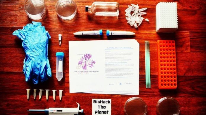 Inhalt des DIY-CRISPR-Kits von The Odin