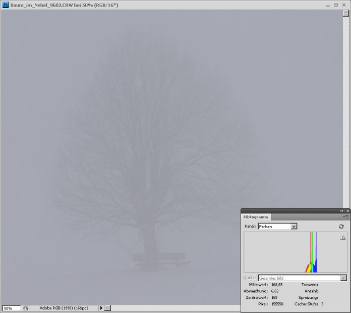 Baum im Nebel – unkorrigierte Version nach der Aufnahme, durch die Belichtung auf den Nebel erscheint dieser ziemlich grau.