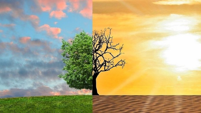 UN-Klimakonferenz: "Klimaschutz ist die Überlebensfrage der Menschheit"