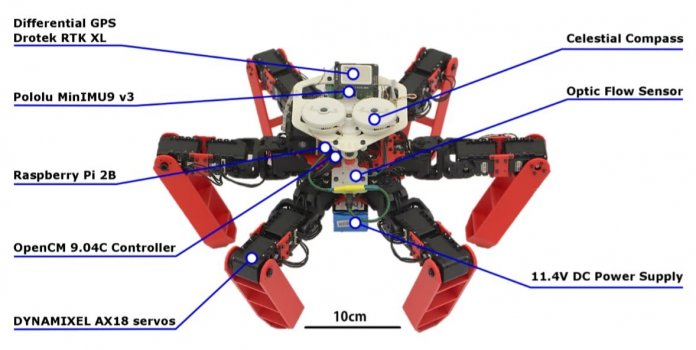 AntBot: Autonomer Roboter findet ohne GPS nach Hause
