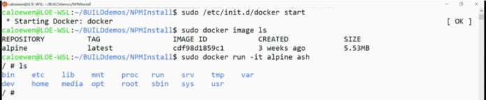 Start eines Docker-Containers in WSL 2