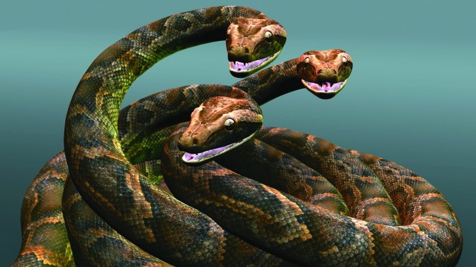 Ein Kopf ist nicht genug: Facebooks Hydra ist ein Framework für Python