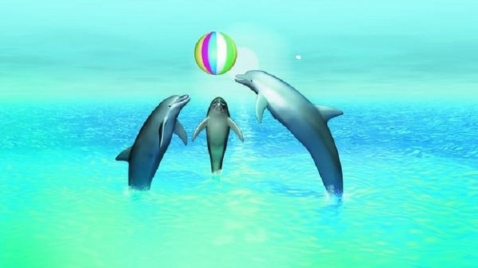 25 Jahre freie Datenbank MySQL