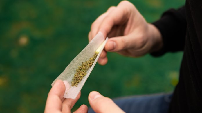Polizei hebt Darknet-Drogenshop "Lenas Bioladen" aus